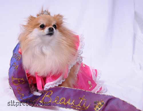 Geisha - Winner - 2008 Barking Beauty Pageant